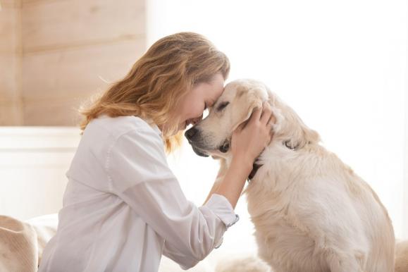 préparer l'arrivée d'un chiot